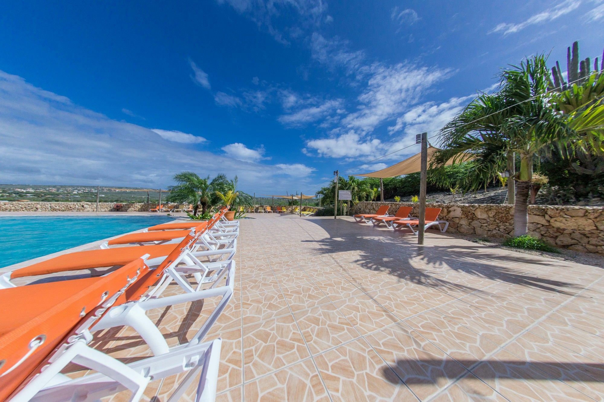 Hillside Resort Bonaire Kralendijk  Exterior foto